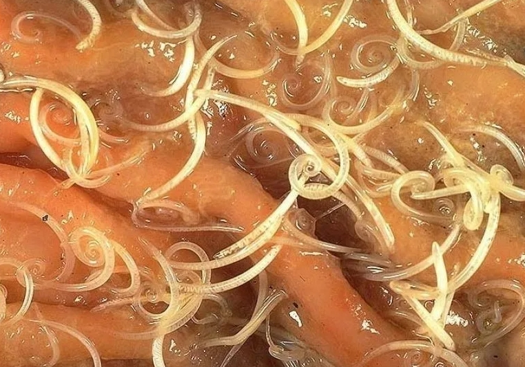 Показать фото 18+