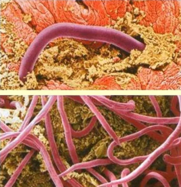 Показать фото 18+